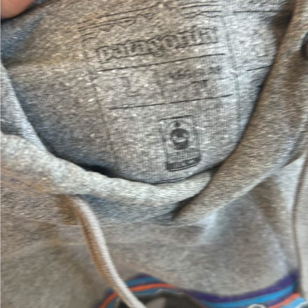 Patagonia Men's Fitz Roy Bear Midweight Hoody - Gray - Picture 4 of 10